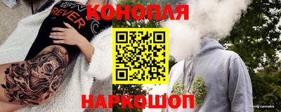 гашик Донецк