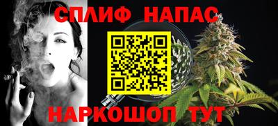 гашик Донецк