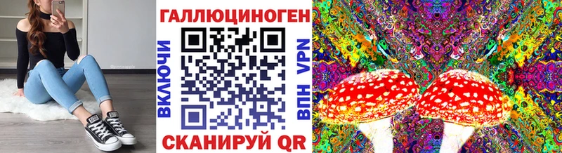 Псилоцибиновые грибы Psilocybe  Дивногорск 